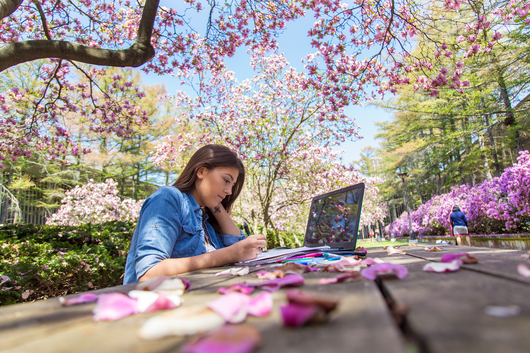 Student working outside