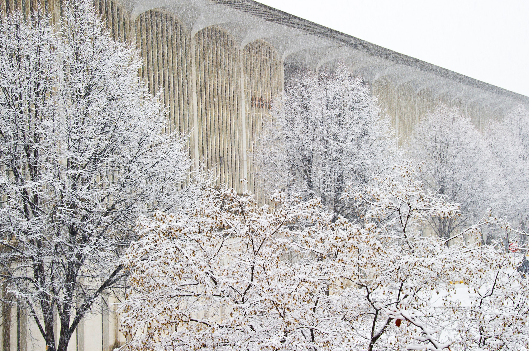 Snow on Campus