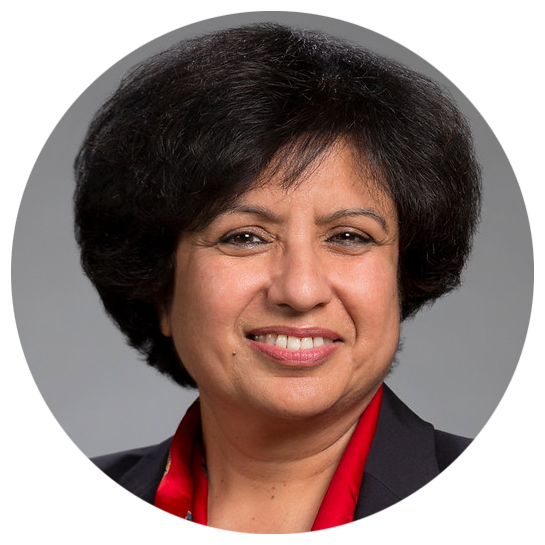 Dr. Rita Biswas, Associate Professor in the School of Business