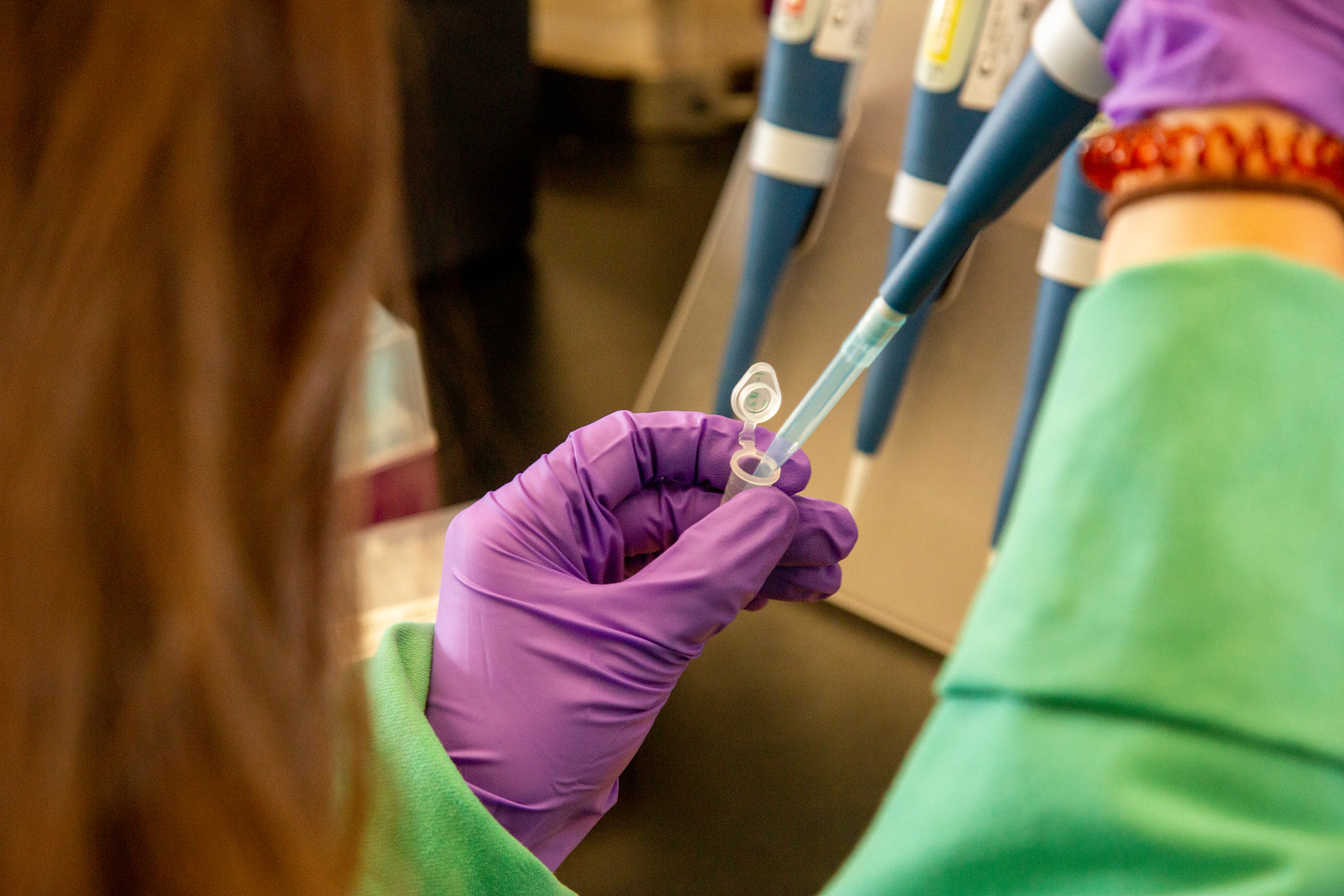 Students conduct research in a lab