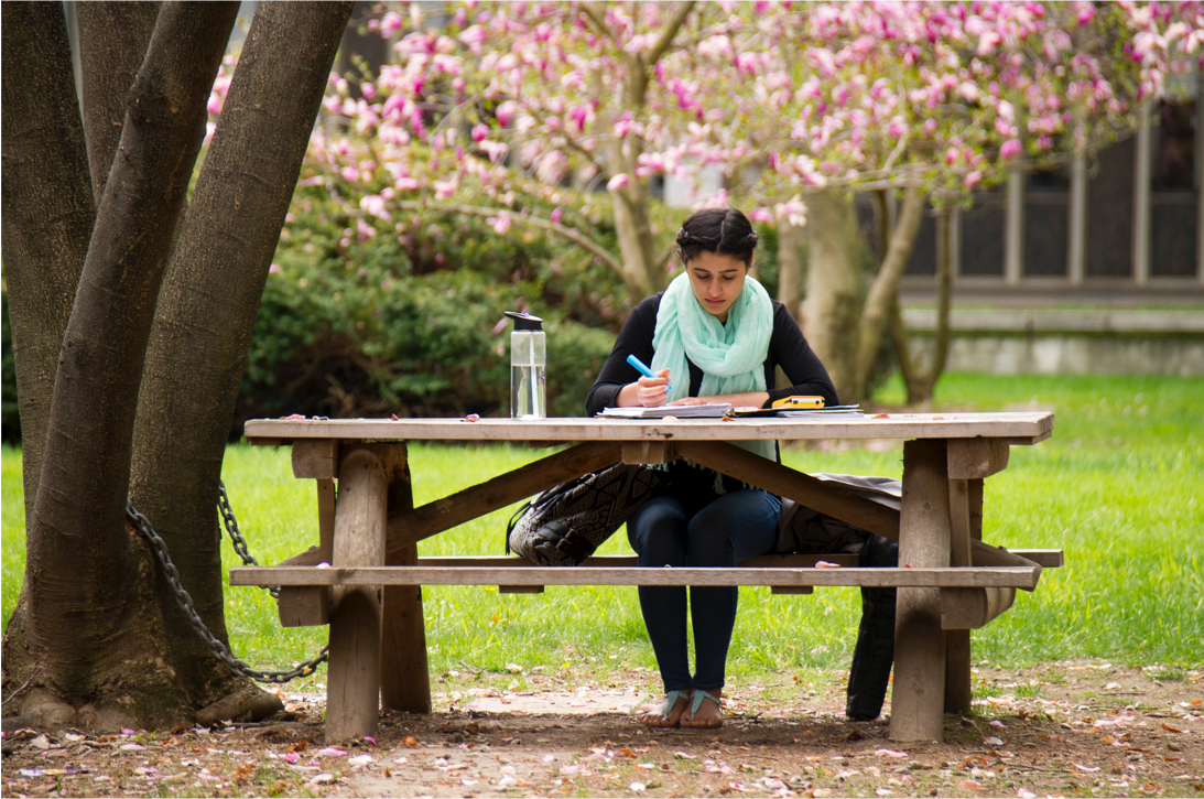 student studying outside