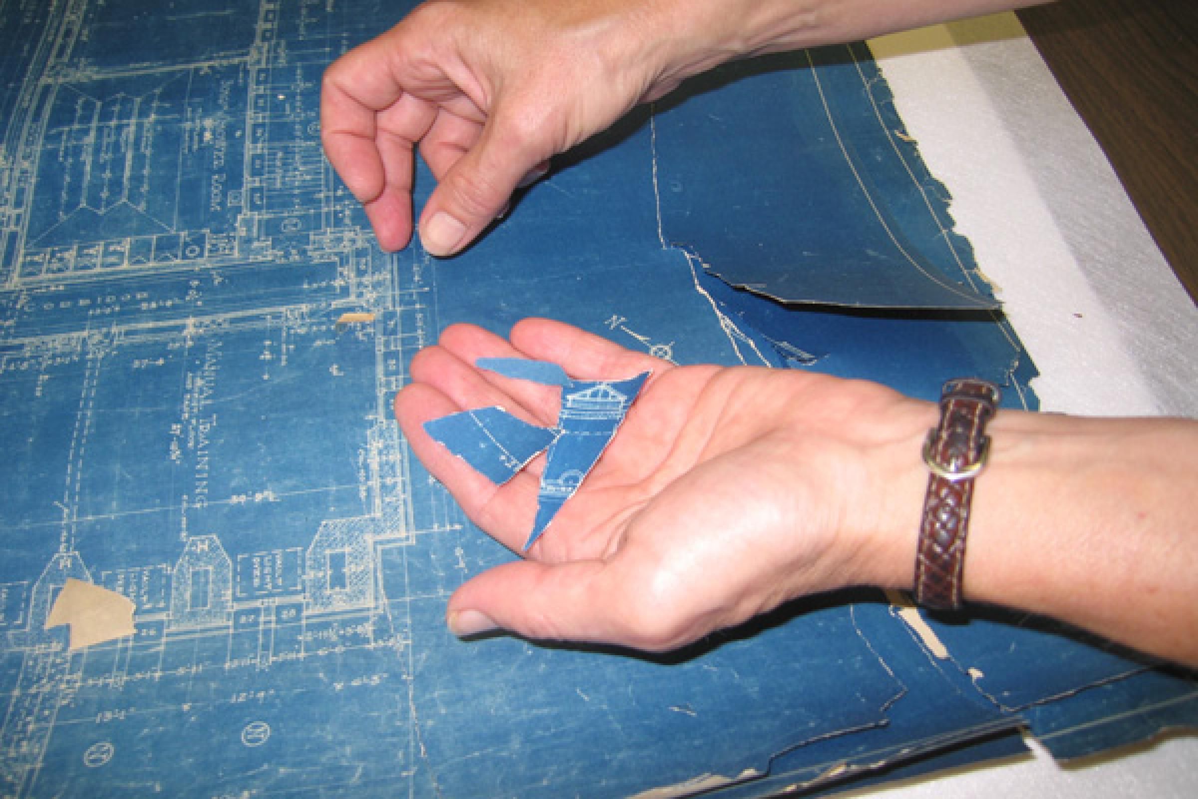 Karen holding smaller brittle blueprint pieces