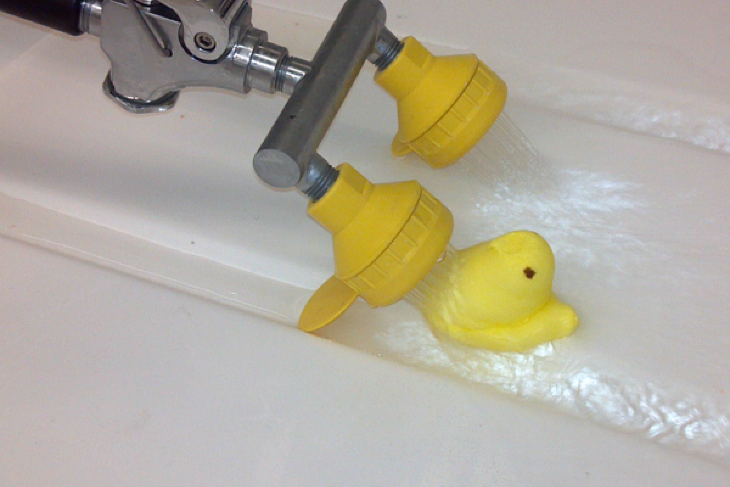One peep was squealing with delight ... until he dissolved.