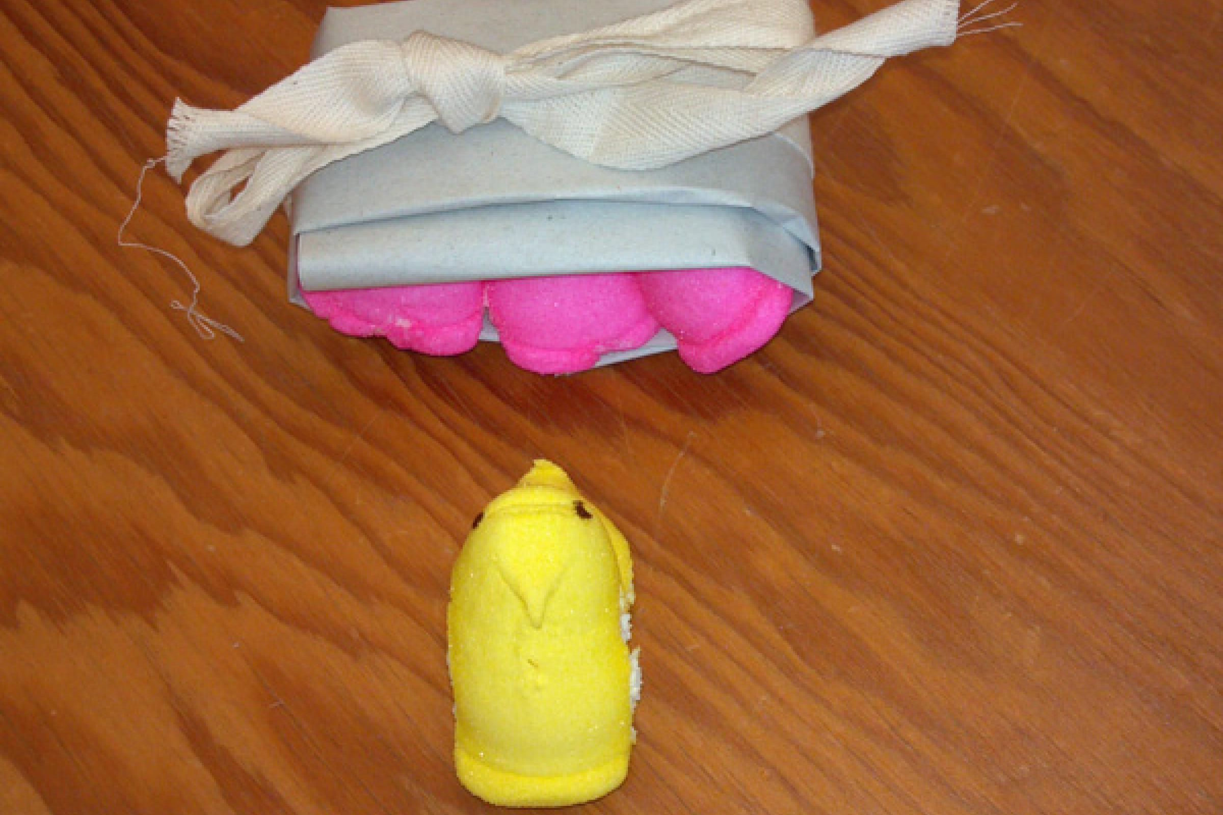 Victory at last! Yellow peeps rule the Preservation Lab!