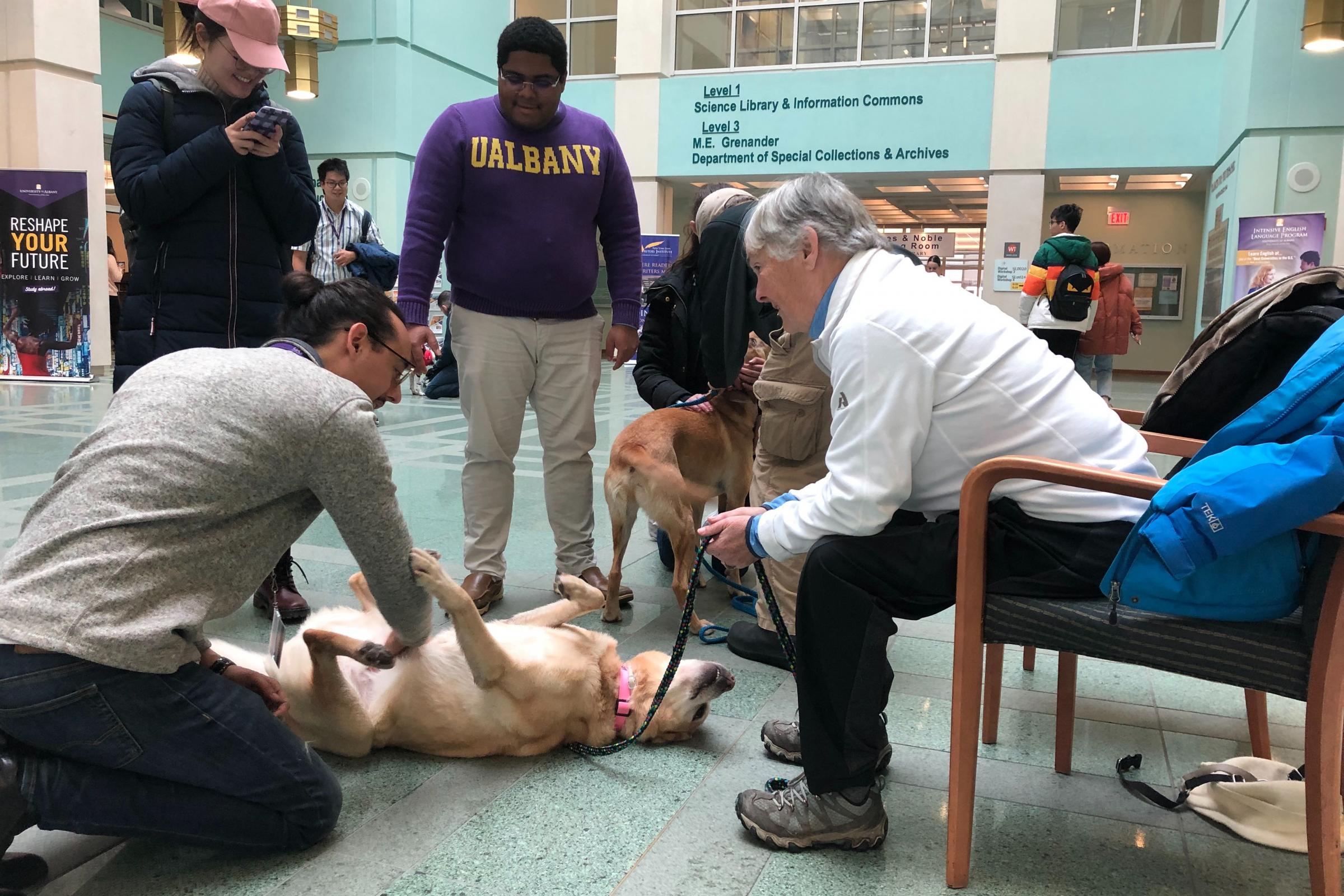 Students and staff enjoy a visit from therapy dogs