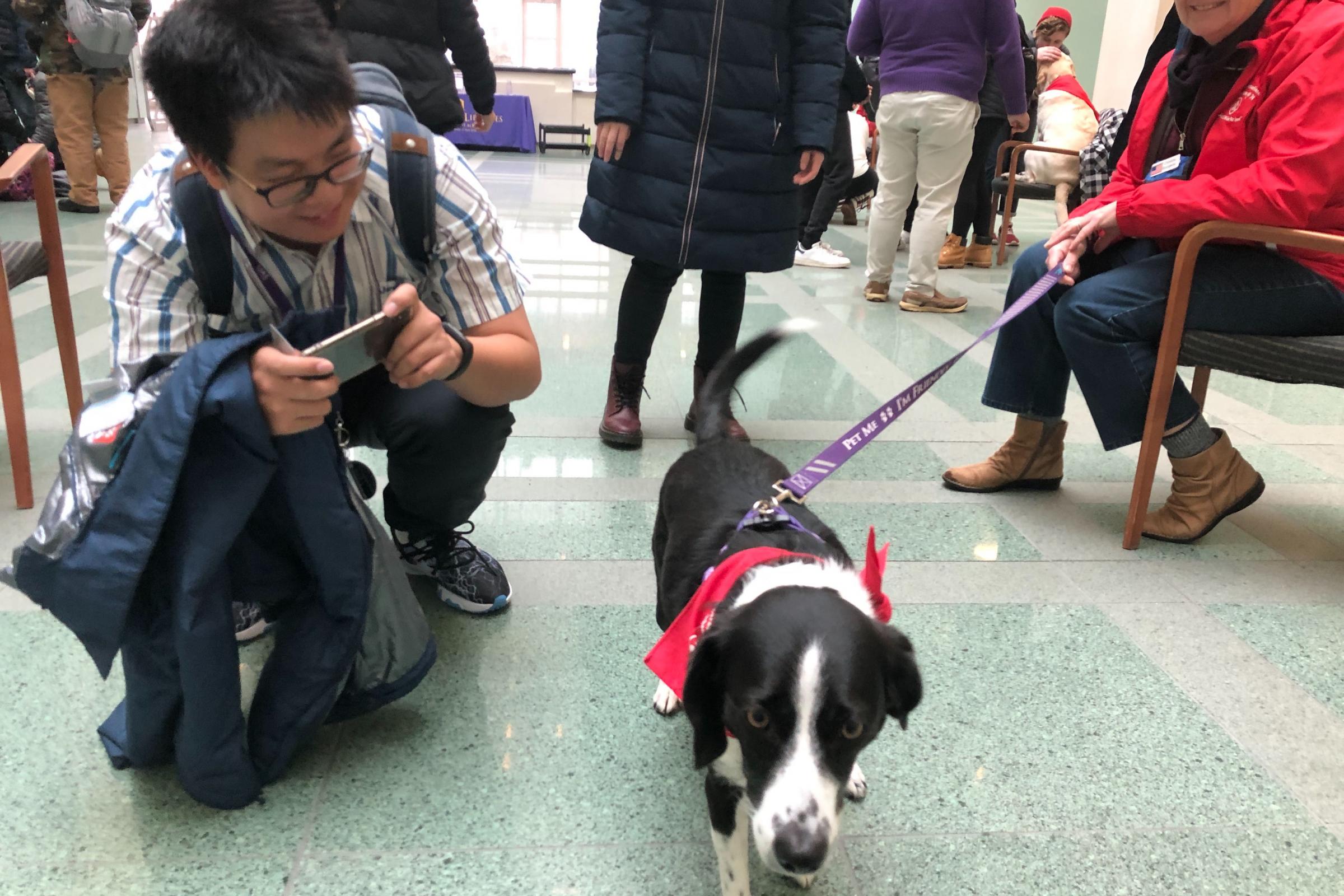 Student takes a photo of therapy dog