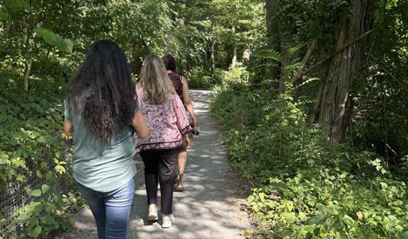 A nature path surrounded by greenery on either side with three women walking in single file