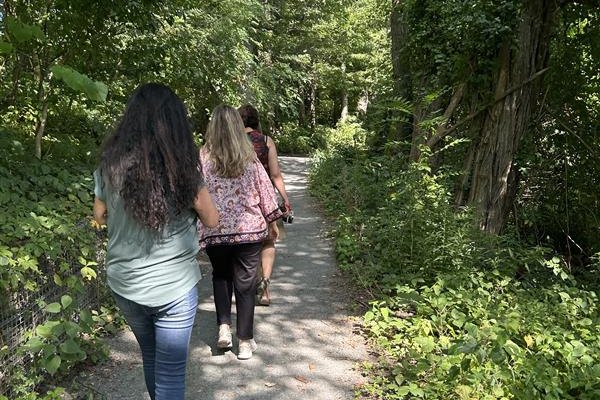 A nature path surrounded by greenery on either side with three women walking in single file
