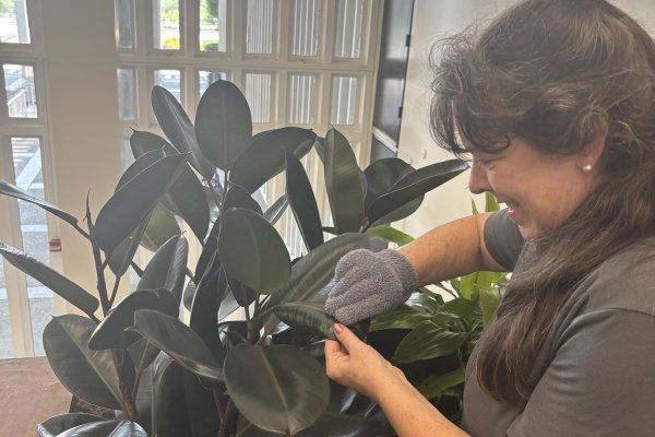 A woman in a gray polo shirt tends to plants in the University Library