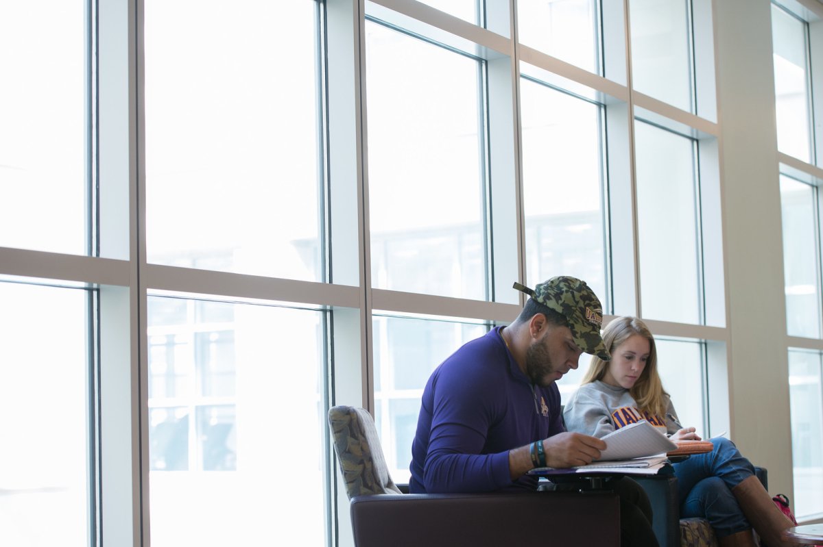 Students studying by Science Library windows