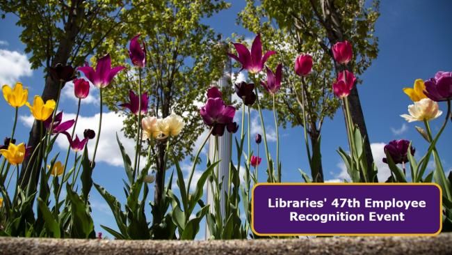 Purple and gold tulips with text that reads Libraries' 67th Employees Recognition Event