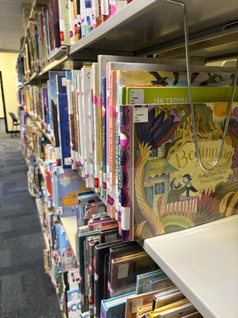 Children's books on the shelves in the Education Curriculum collection