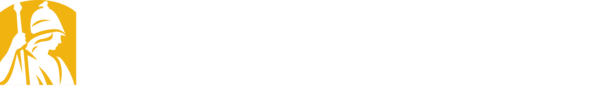 University Libraries